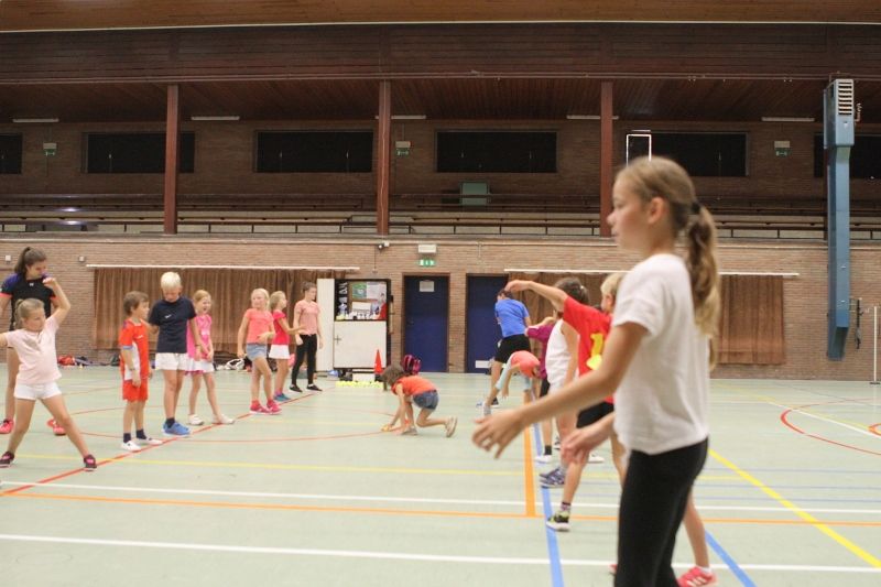 Badmintonkamp 2017